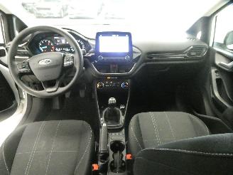 Ford Fiesta 1.1 5 DEURS picture 10
