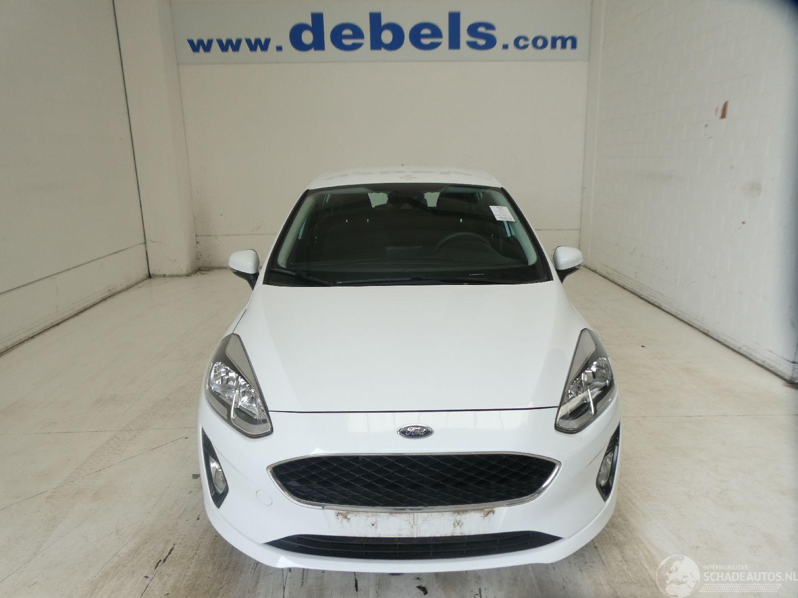 Ford Fiesta 1.1 5 DEURS