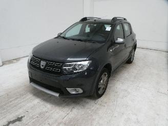 Dacia Sandero BS RAINBOW picture 3