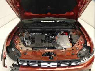 Dacia Duster  picture 31