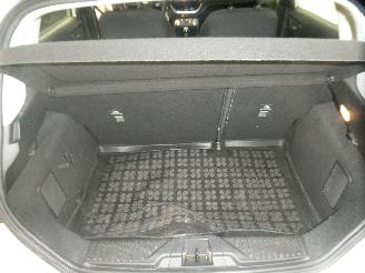 Ford Fiesta  picture 19