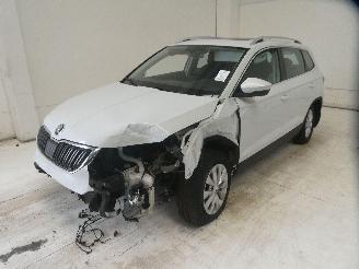 Skoda Karoq  picture 4