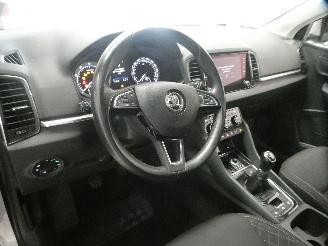 Skoda Karoq  picture 19