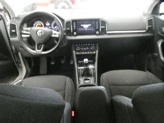 Skoda Karoq  picture 18