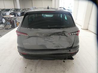 Skoda Karoq SELECTION picture 6