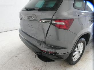 Skoda Karoq SELECTION picture 10