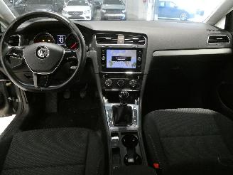 Volkswagen Golf VARIANT TRENDLI picture 19