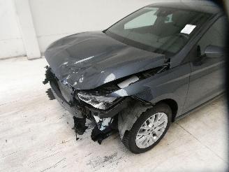 Seat Ibiza COPA picture 6