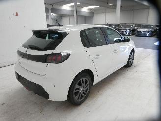 Peugeot 208 ACTIVE BACK picture 10