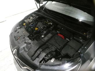 Renault Mégane IV GRANDTOUR CORPORA picture 28