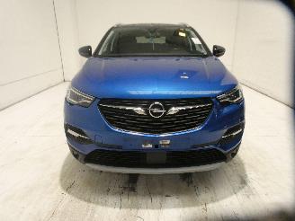 Opel Grandland Z picture 2