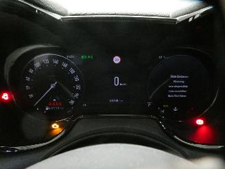 Alfa Romeo Tonale 1.6D picture 13
