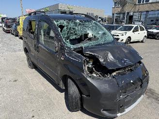 Citroën Nemo NO PAPERS picture 8