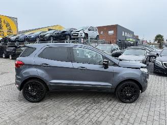Ford EcoSport 1.0 picture 8