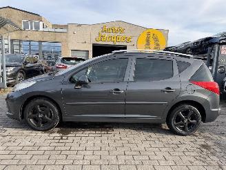Schadeauto Peugeot 207 1.4I 2009/5