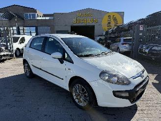 Fiat Punto 1.3 MULTIJET picture 1