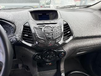Ford EcoSport 1.0 TURBO picture 16
