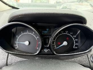 Ford EcoSport 1.0 TURBO picture 15