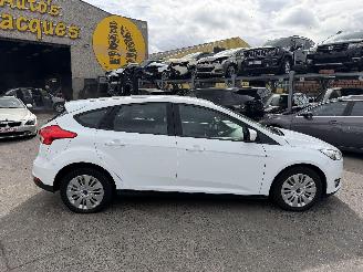 Ford Focus MOTOR ??? picture 4