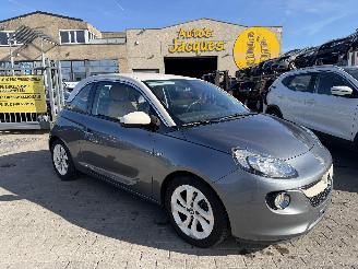 Coche accidentado Opel Adam 1.4 GLAM 2019/8