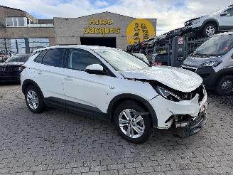 Voiture accidenté Opel Grandland 1.2I TURBO AUTOMAT 2019/9
