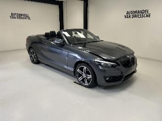 krockskadad bil auto BMW 2-serie SPORTLINE AUTOMAAT 2019/3