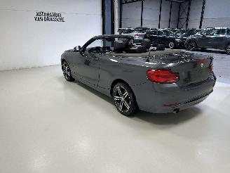 BMW 2-serie SPORTLINE AUTOMAAT picture 5