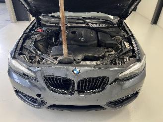BMW 2-serie SPORTLINE AUTOMAAT picture 8