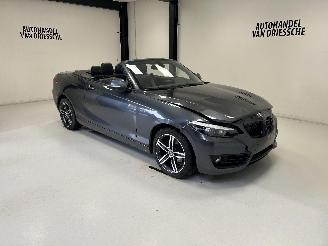 BMW 2-serie SPORTLINE AUTOMAAT picture 2