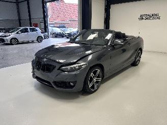 BMW 2-serie SPORTLINE AUTOMAAT picture 6