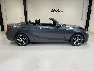 BMW 2-serie SPORTLINE AUTOMAAT picture 2