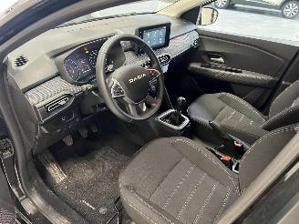 Dacia Sandero  picture 10