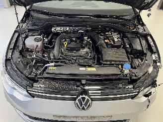 Volkswagen Golf DSG picture 10