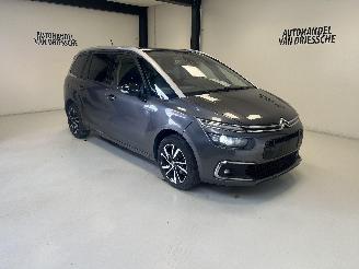 uszkodzony samochody osobowe Citroën C4 7 PLACE/ AUTOMAAT 2021/6
