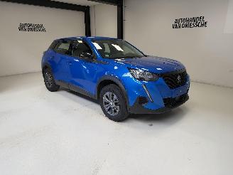 Peugeot 2008  picture 2