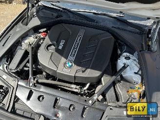 BMW  F10 518D Alpinewiess 3 picture 11