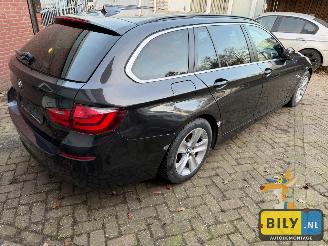 BMW 5-serie F11 1 520D N47  sophisto-grau Brillanteffekt metallic picture 3