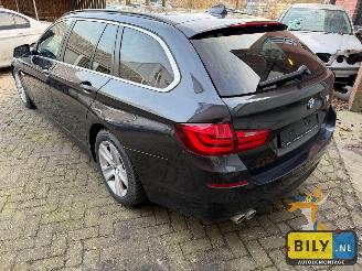 BMW 5-serie F11 1 520D N47  sophisto-grau Brillanteffekt metallic picture 4