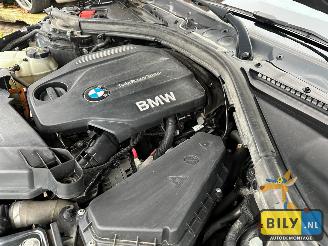 BMW 4-serie F36 418D B47 Jatoba metallic (B65) picture 9