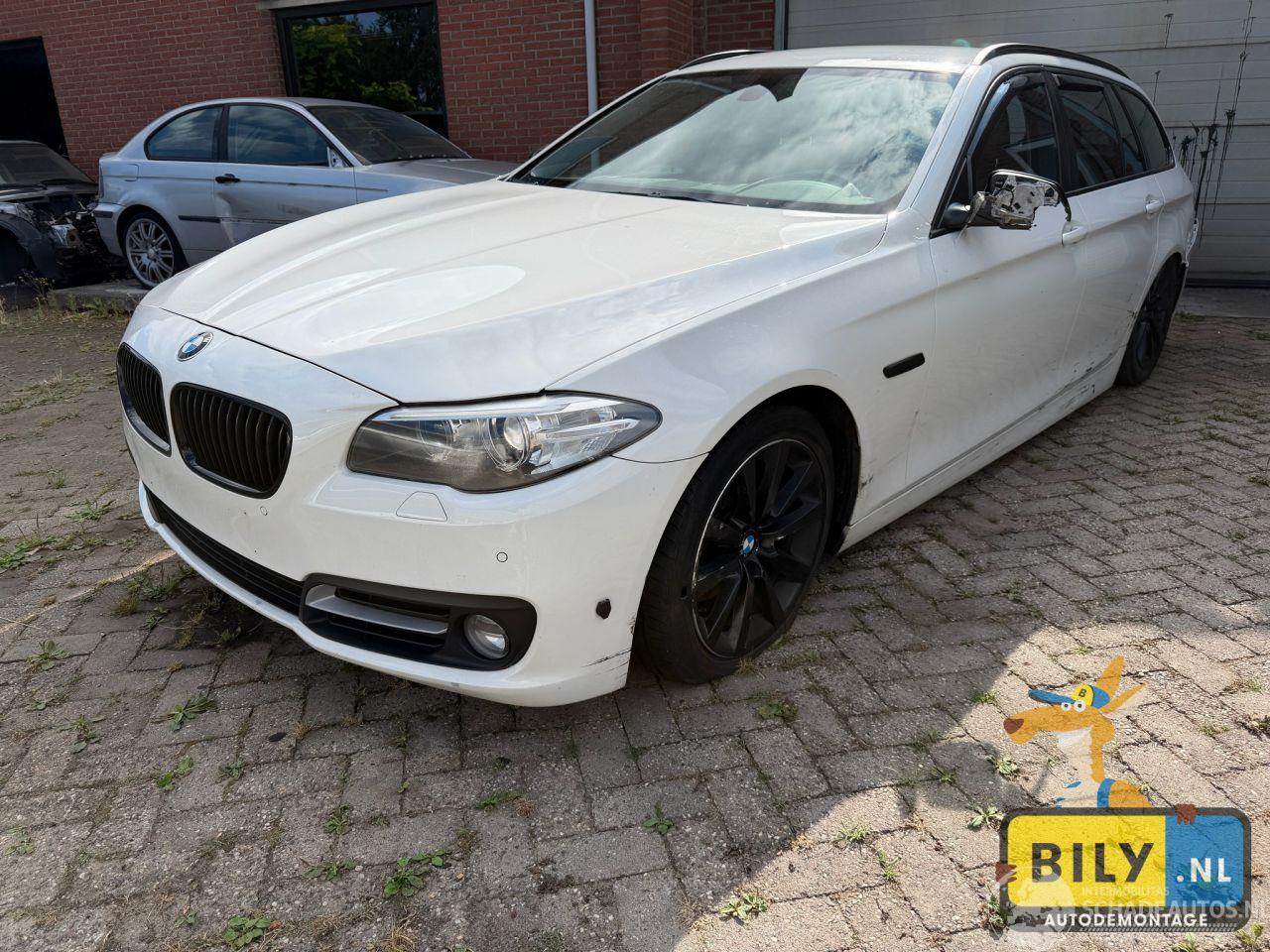 BMW 5-serie BMW F11 520XD B47D20 Alpineweiss 3