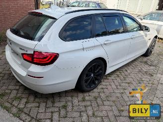BMW 5-serie BMW F11 520XD B47D20 Alpineweiss 3 picture 2