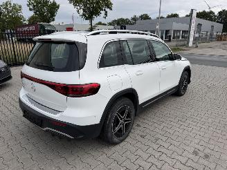 Mercedes EQB 250 Amg-Line / elektro picture 4