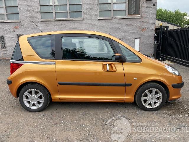 Peugeot 1007