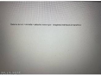 Renault Master III GRAND CON picture 13