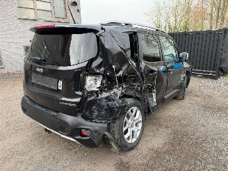 Jeep Renegade LIMITED picture 19