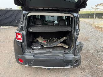 Jeep Renegade LIMITED picture 14