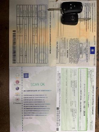 Opel Astra GTC OPC picture 30