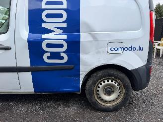 Renault Kangoo EXPRESS XTR picture 13