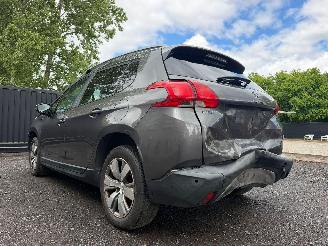 Peugeot 2008 ACCESS picture 12