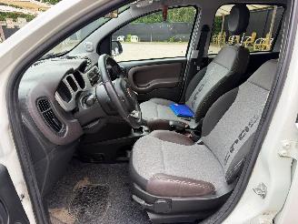 Fiat Panda CROSS picture 18